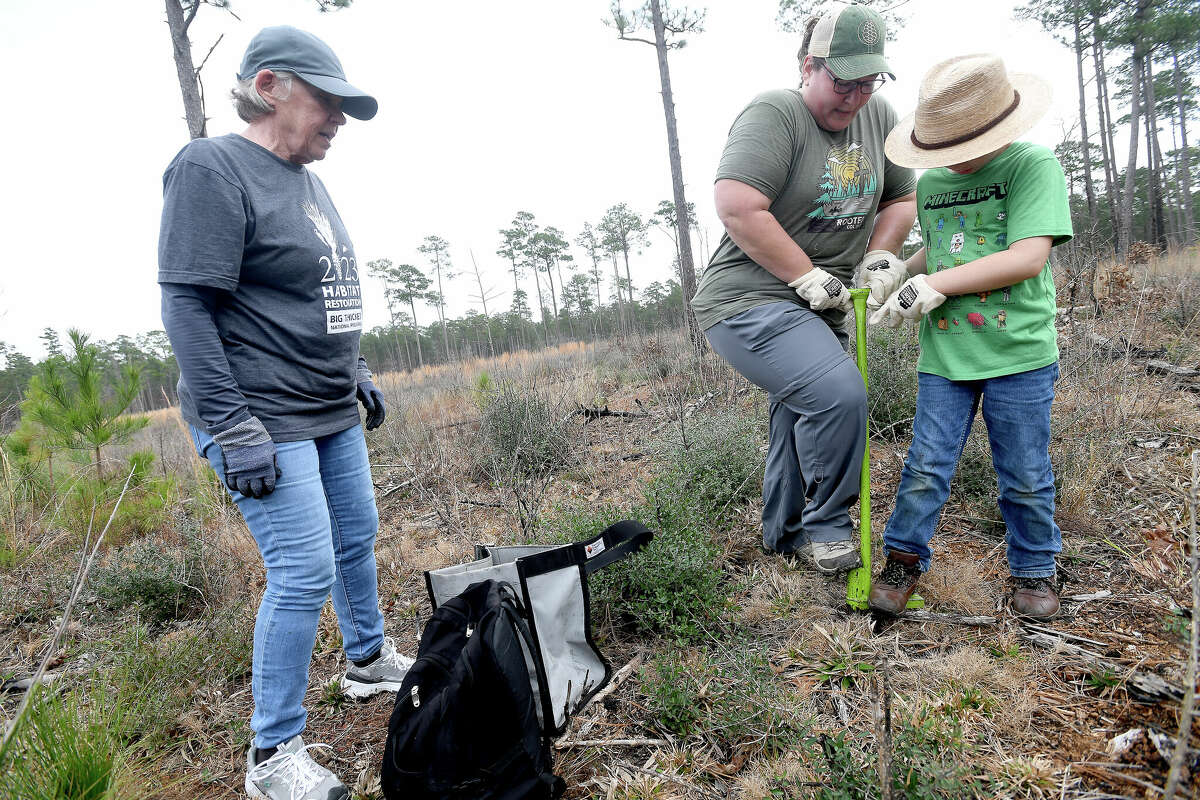 Mary Bernard looks on as Liz Jelsma helps son Auden make a planting hole with the dibbler in the Big Sandy Creek Unit of the Big Thicket National Preserve during their annual Day of Service planting event on Martin Luther King Day. Photo made Monday, January 16, 2023 Kim Brent/Beaumont Enterprise