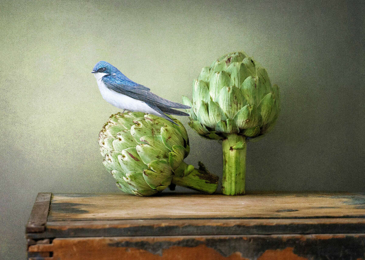 Spectrum Art Gallery of Centerbrook will present "The Unique Still Life," new artwork by established and emerging artists from throughout Connecticut, the tri-state area and New England. Judith Secco's "Artichokes With Flower" is shown.
