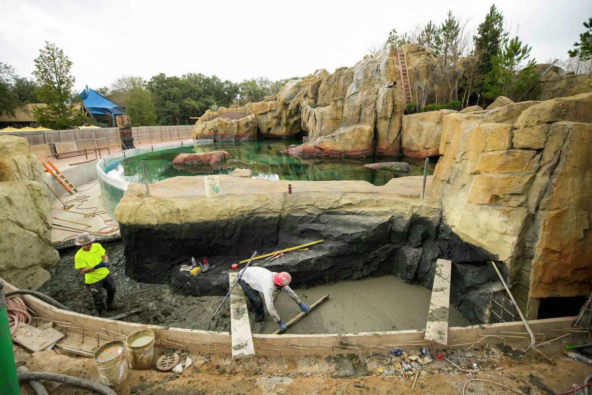 Houston Zoo sets opening date for 'Galápagos Islands' exhibit