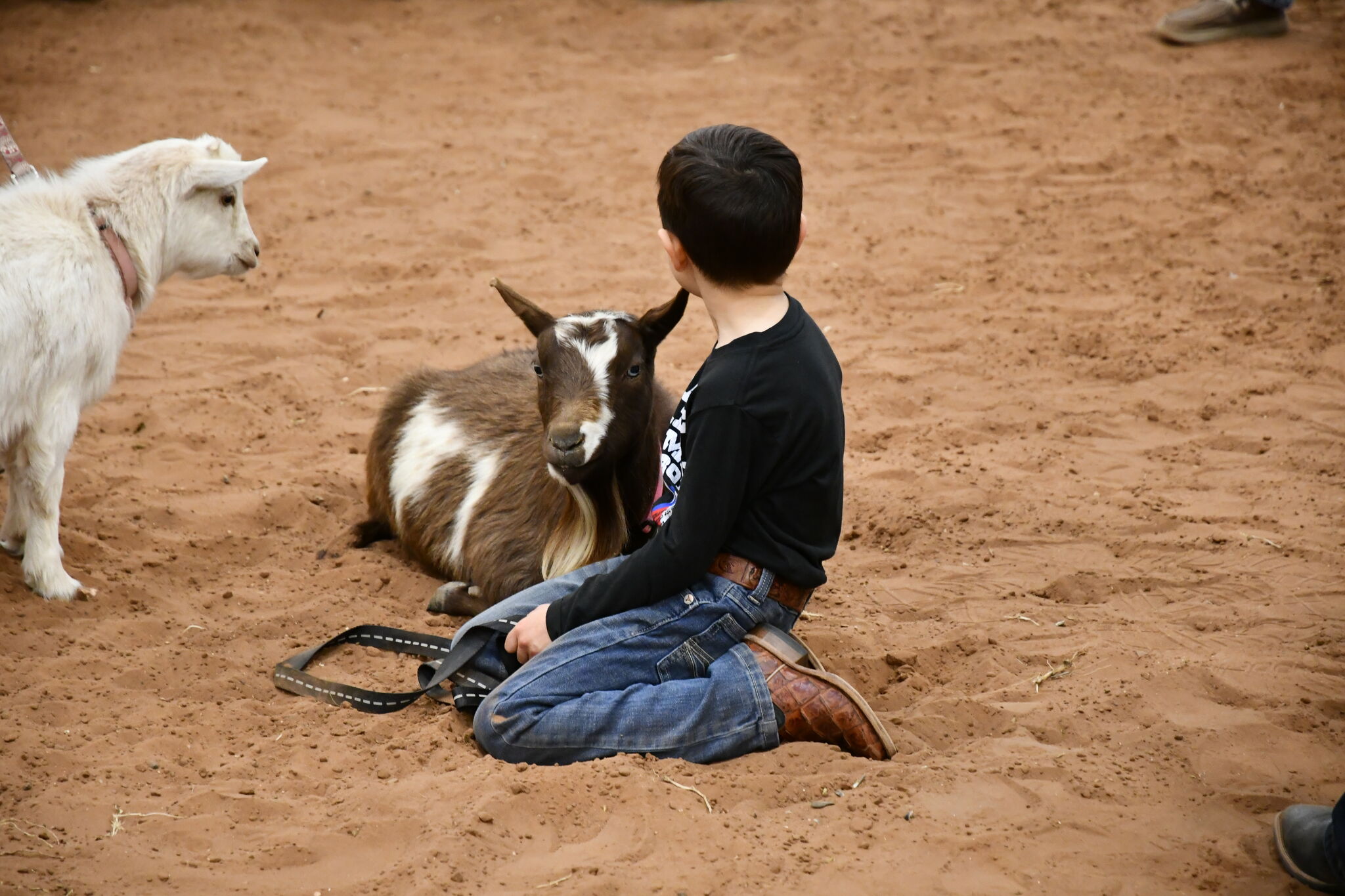 Aubrey Lee Brooks Scholarships0