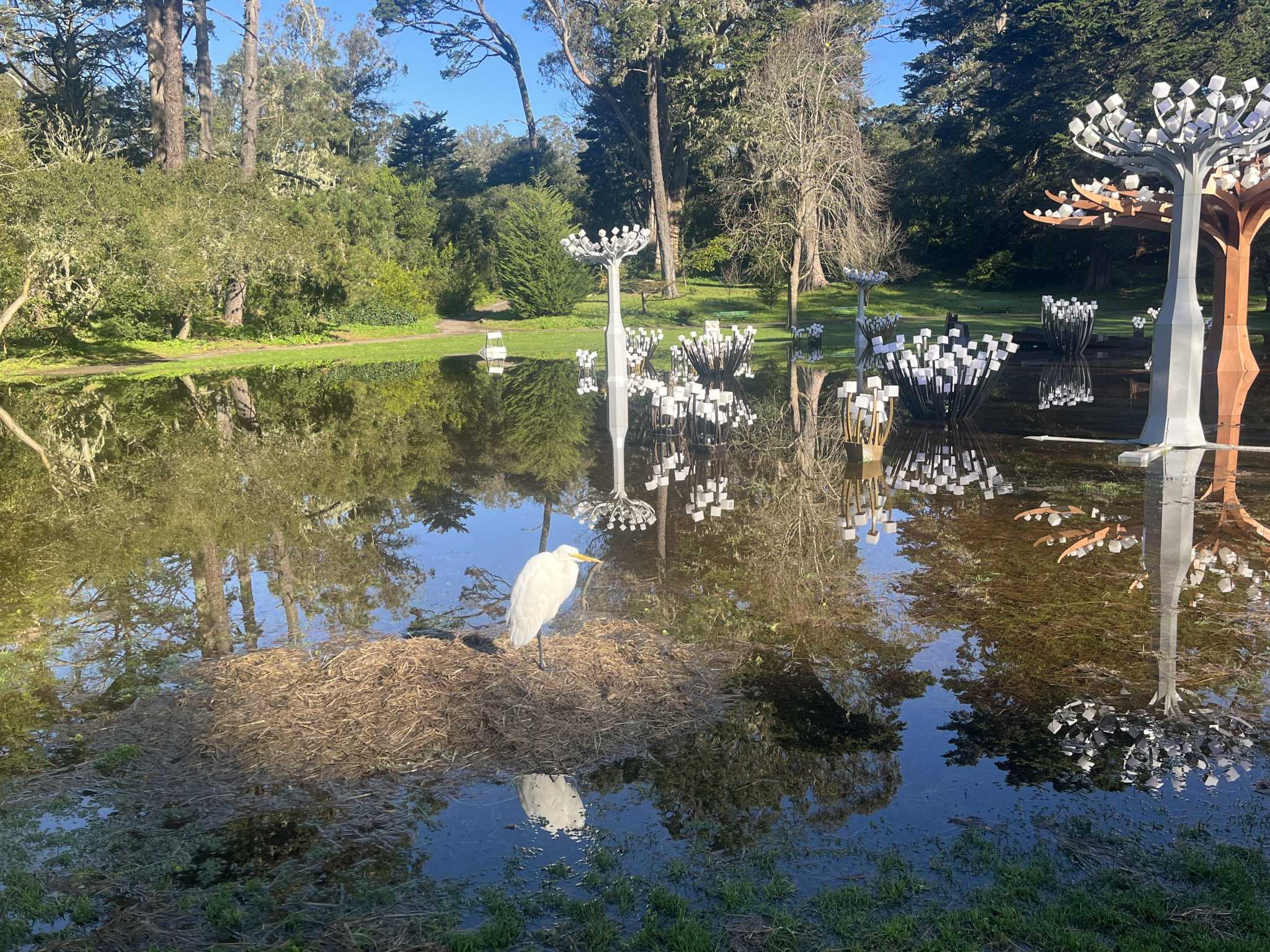 S.F.’s Golden Gate Park has a new feature after storms more lakes