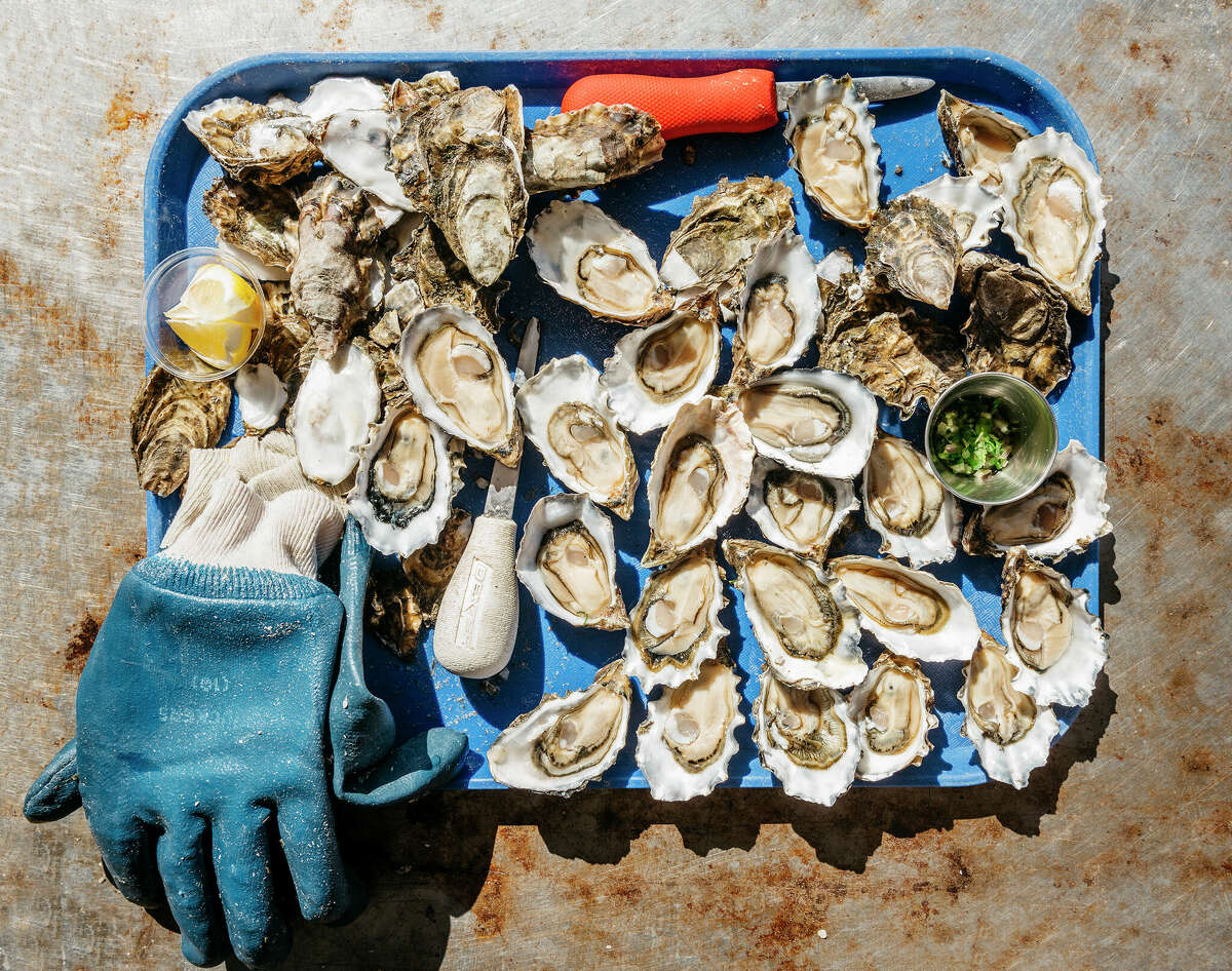 Bay Area storms close Point Reyes oyster farms for weeks