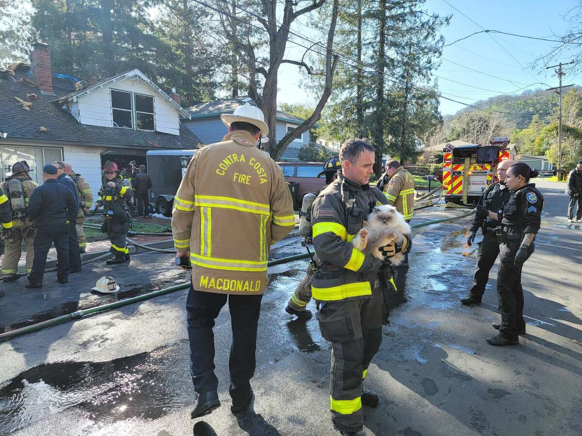 The Contra Costa Fire Protection District responded to a fire at a home with 70 dogs and cats in Martinez, Calif., on Jan. 17, 2023.