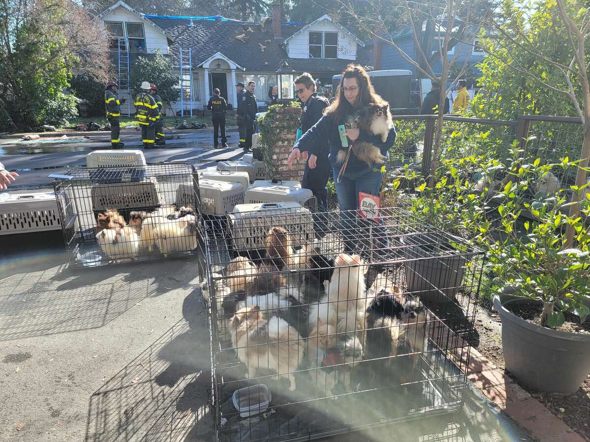 The Contra Costa Fire Protection District responded to a fire at a home with 70 dogs and cats in Martinez, Calif., on Jan. 17, 2023.