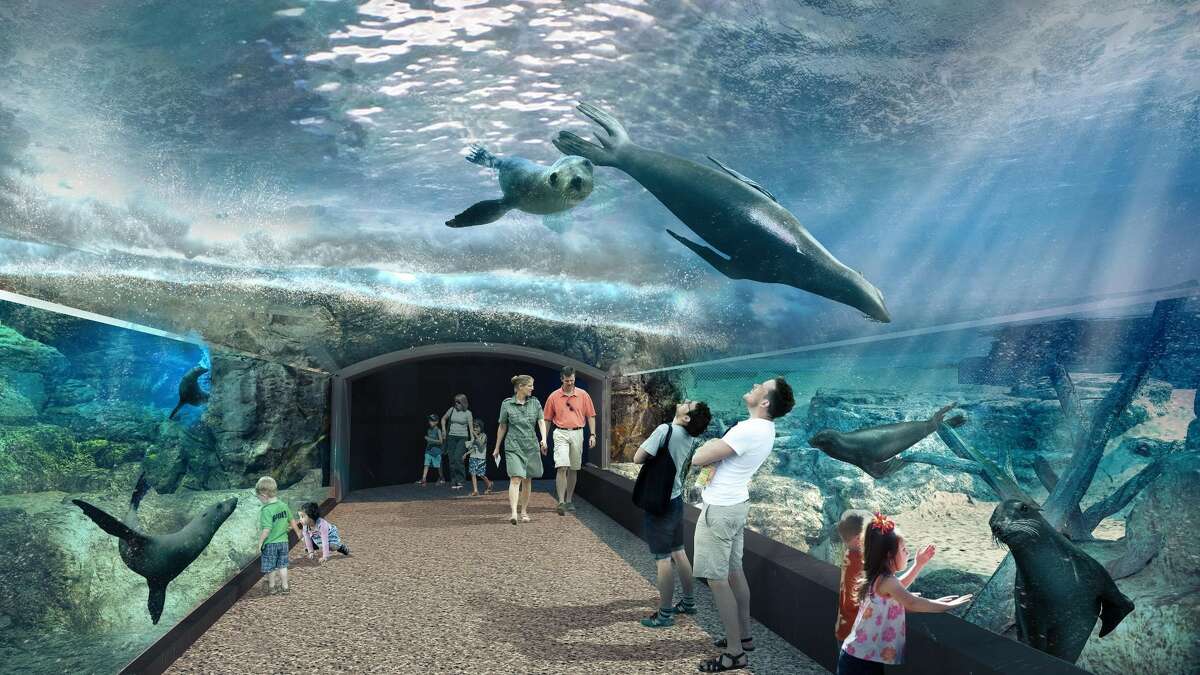 Houston Zoo to open firstofitskind Galápagos exhibit