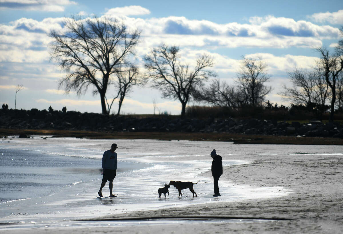 Tom Henderson Jr.'s French bulldog, Stella, and Mary Fike's hound, Triscuit, meet on the beach at Greenwich Point Park in Old Greenwich, Conn. Wednesday, Jan. 18, 2023. Dogs are permitted on the beach with a collar through the end of March.