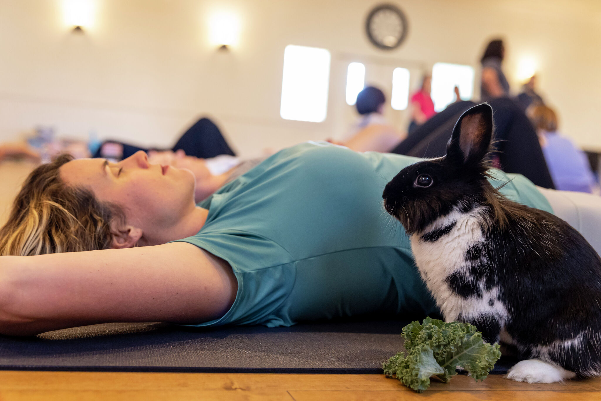 Bunny Yoga: Exercise classes with rabbits raise awareness of