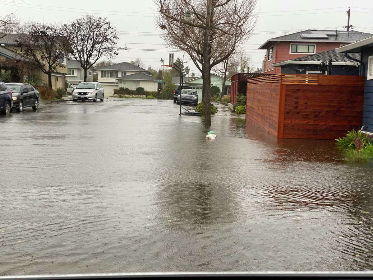 Flooding in Alameda this month near the intersection of Fernside and Liberty streets, which is near the estuary. A report says the area has high groundwater levels, although the street flooding seen here may have various causes.