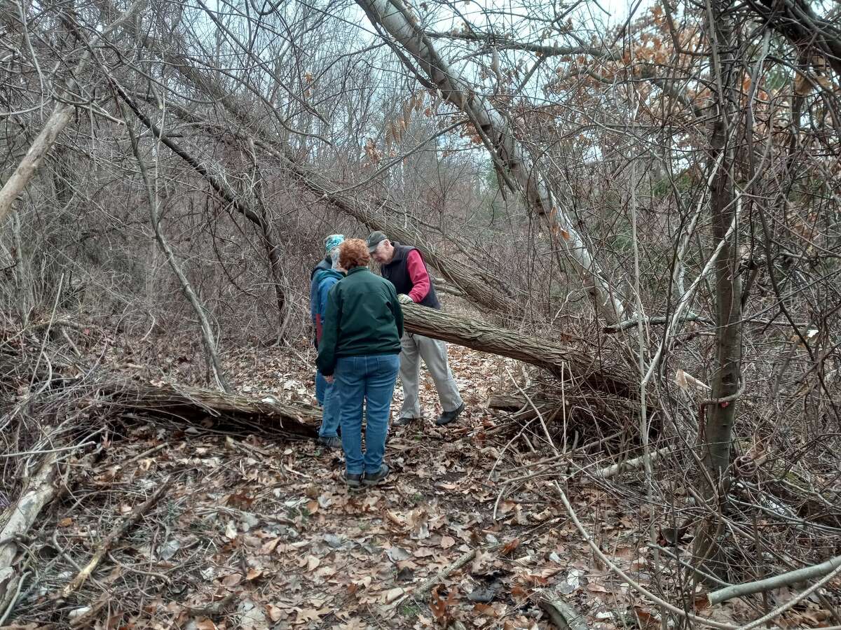 Torrington Trails Network expanding greenway's footprint
