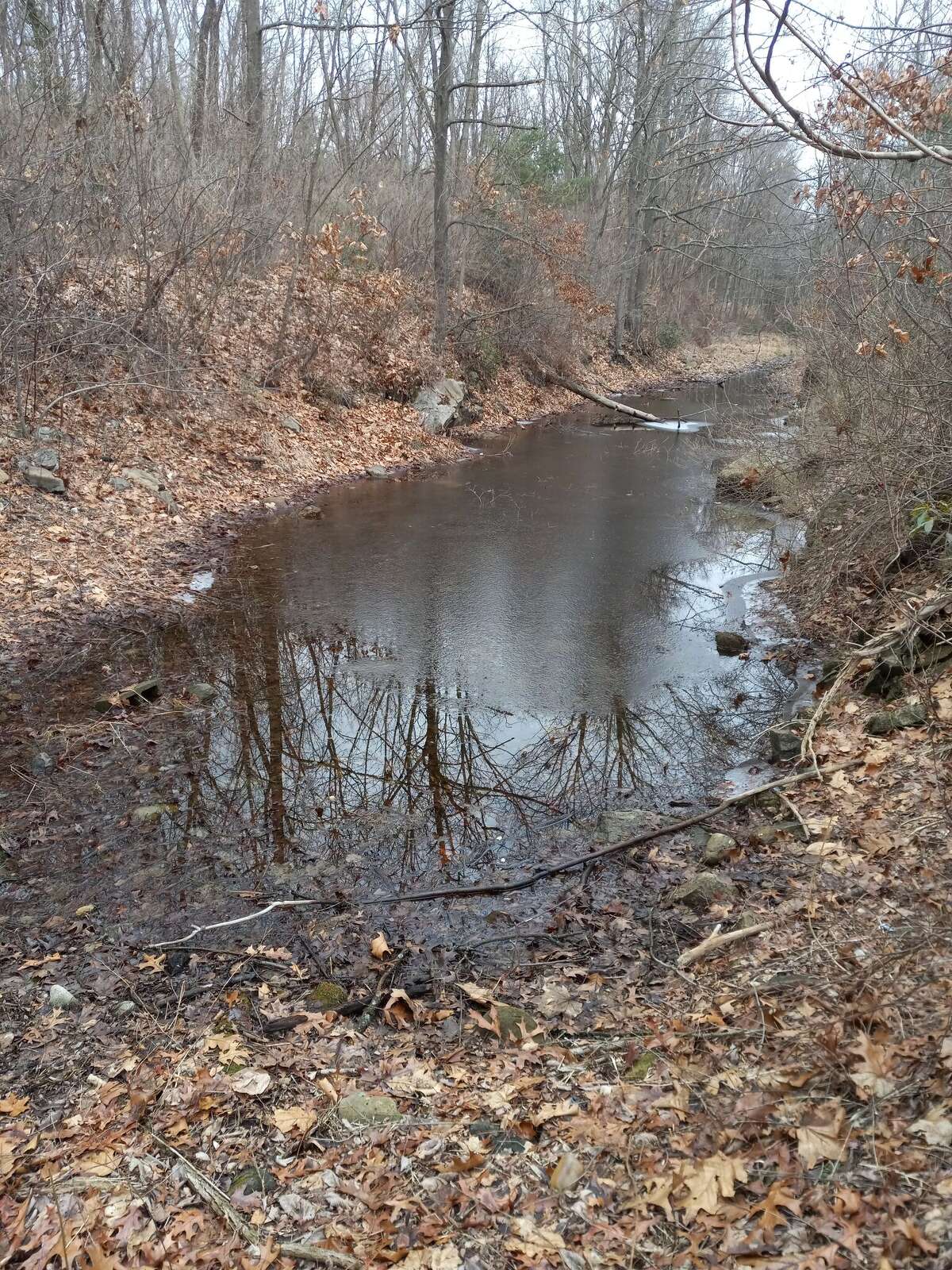 Torrington Trails Network expanding greenway's footprint
