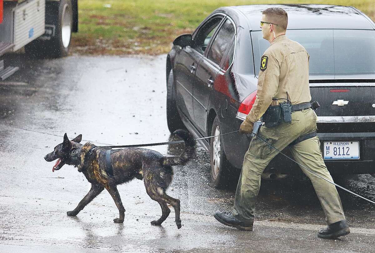 John Badman|The Telegraph The Wednesday search for an alleged car thief was joined by the Illinois State Police, including a canine unit Wednesday. The suspect was not found during the search.