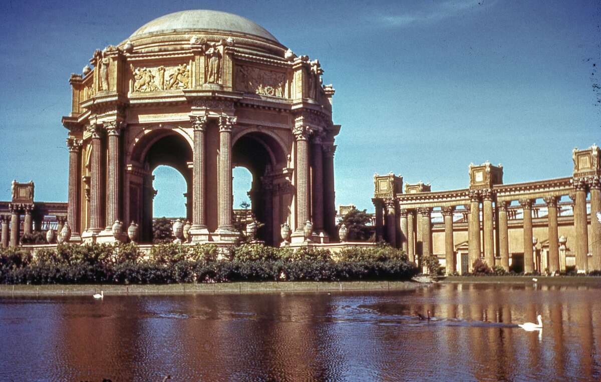 Blanche, SF's Palace of Fine Arts resident swan, dies at 28