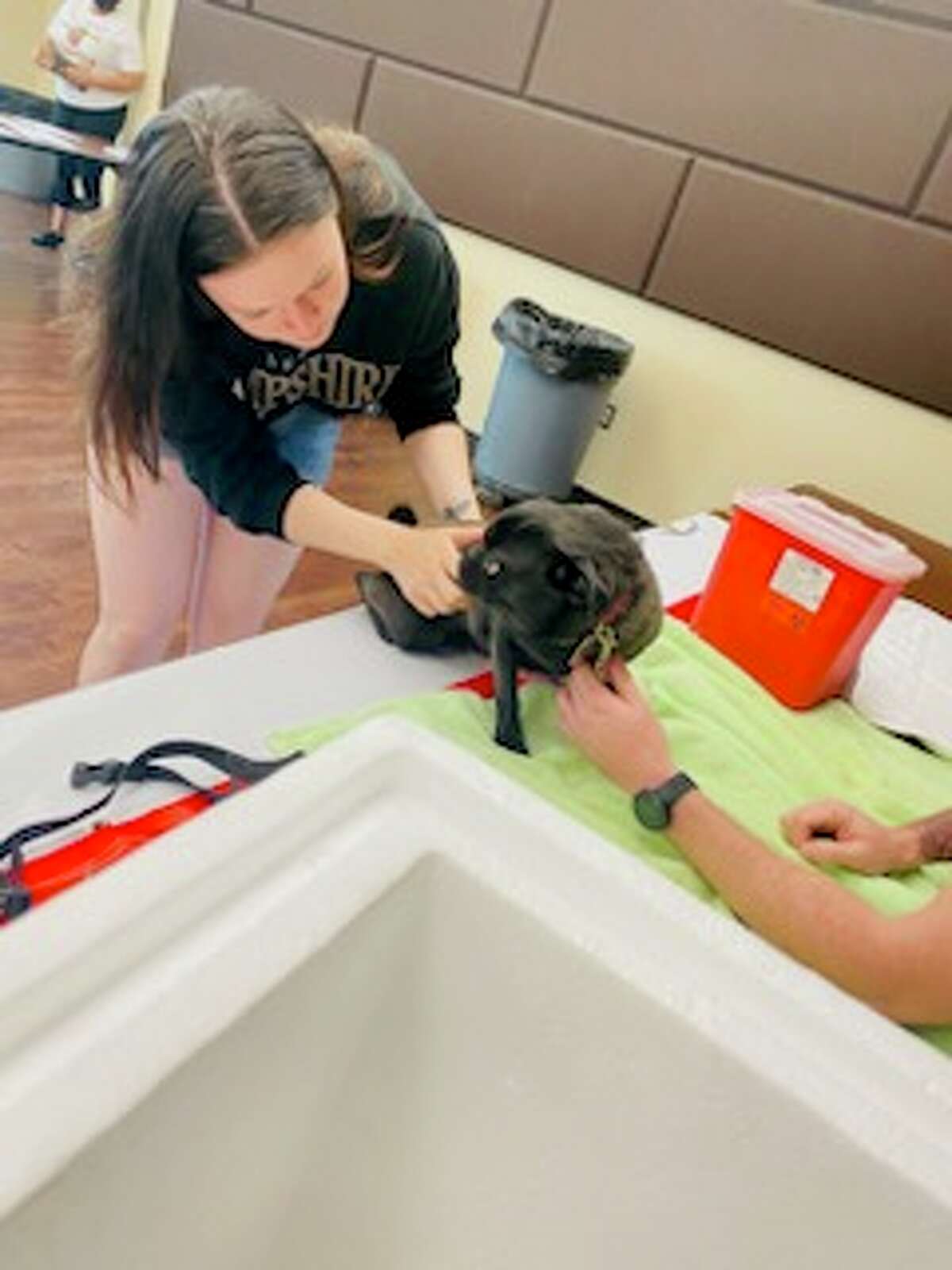 Pets Alive Laredo and co-sponsored by PetCo as the company provided grant money for the vaccines being administered were able to provide vaccines to approximately 150 dogs on Tuesday free of cost to their owners at the Fasken Recreation Center