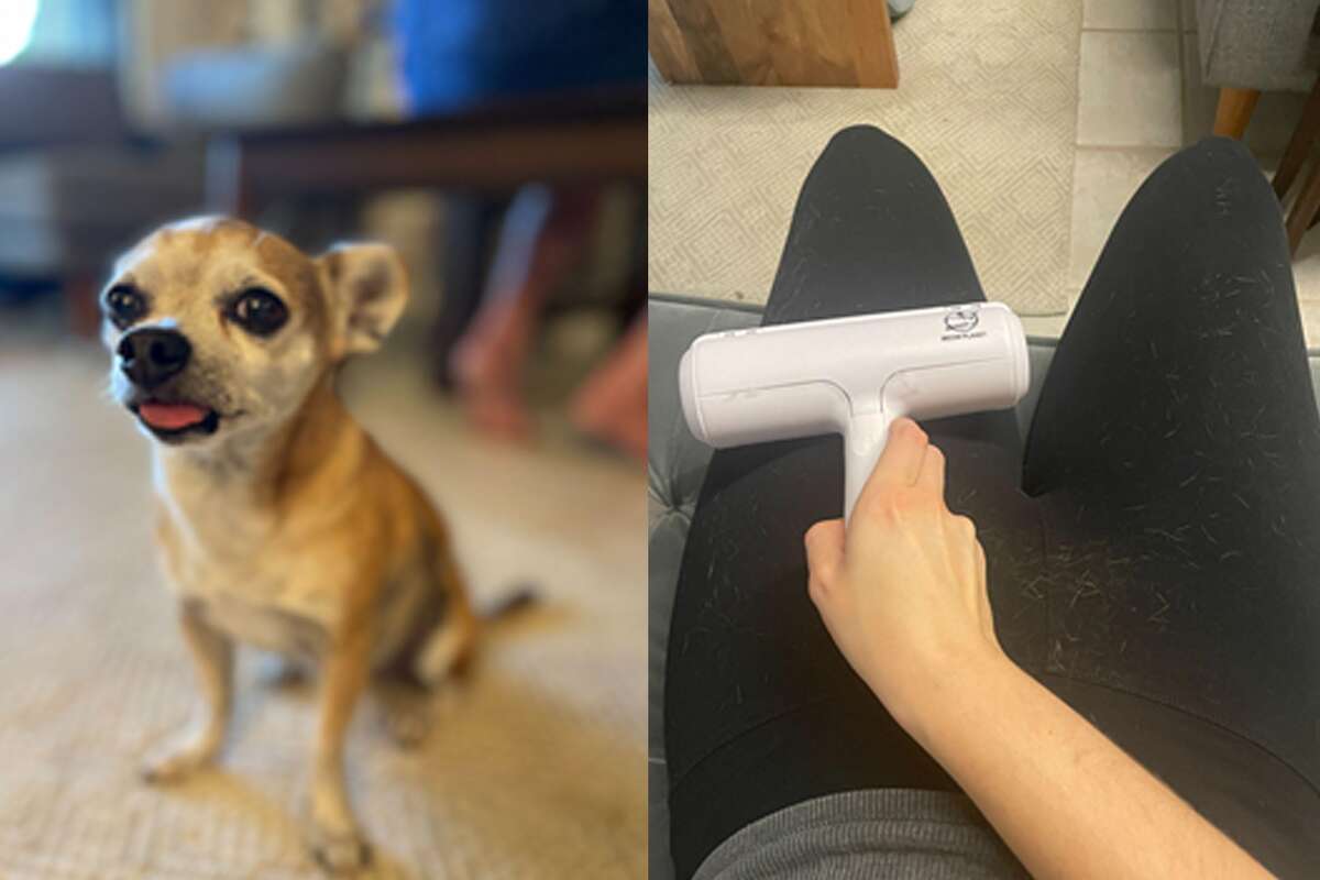ChomChom Pet Hair Remover review: Is this $25 tool worth the TikTok hype?