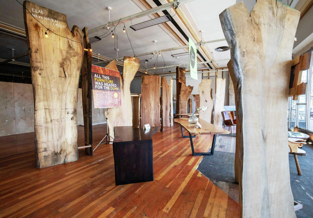 Haddam artist Ted Esselstyn of City Bench, which uses reclaimed wood from cities such as New Haven to make unique furniture, has an exhibit in the vacant old Woolworth’s building in Middletown. He created a “forest” with the pieces standing upright, including a black walnut from Windsor and red oak from Elizabeth Park in Hartford.