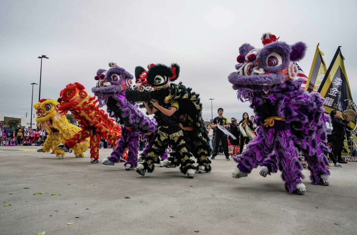 Lunar New Year Celebration  Fort Bend County Libraries