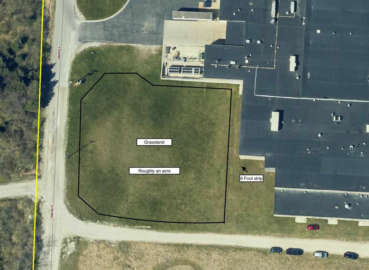 Manistee High School's National Honor Society plans to install a native grassland on approximately 1 acre of land on campus for its chapter project.