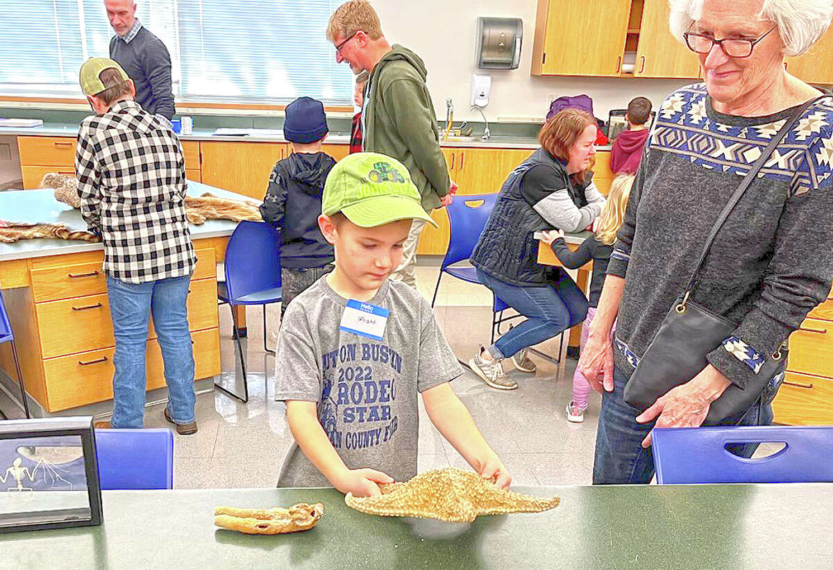 Children and parents look over displays that are part of a meeting of the Morgan County Audubon Society’s Young Explorers Club. Illinois College hosted the event, sharing the college's vertebrate skull collection and explaining anatomical differences among mammals.