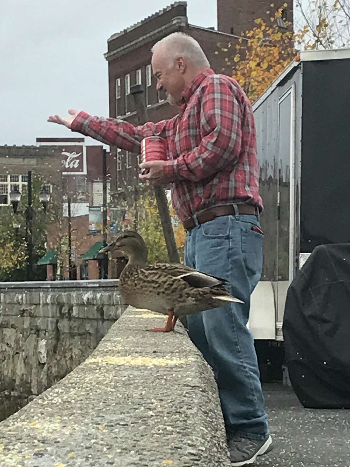 Brian Corringham feeding ducks along the Naugatuck River in Torrington.
