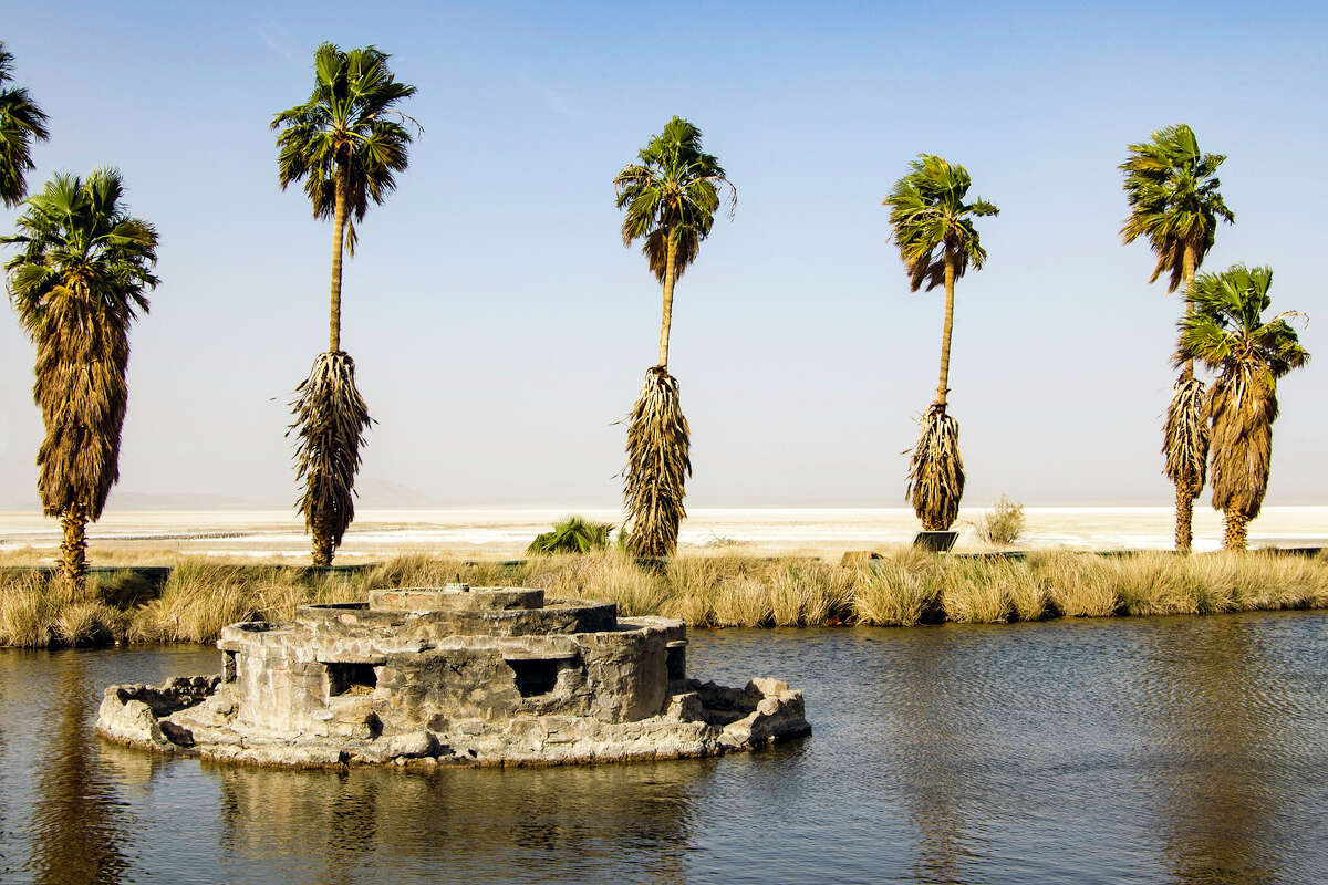 Old palms stand sentinel against the desert at Zzyzx.