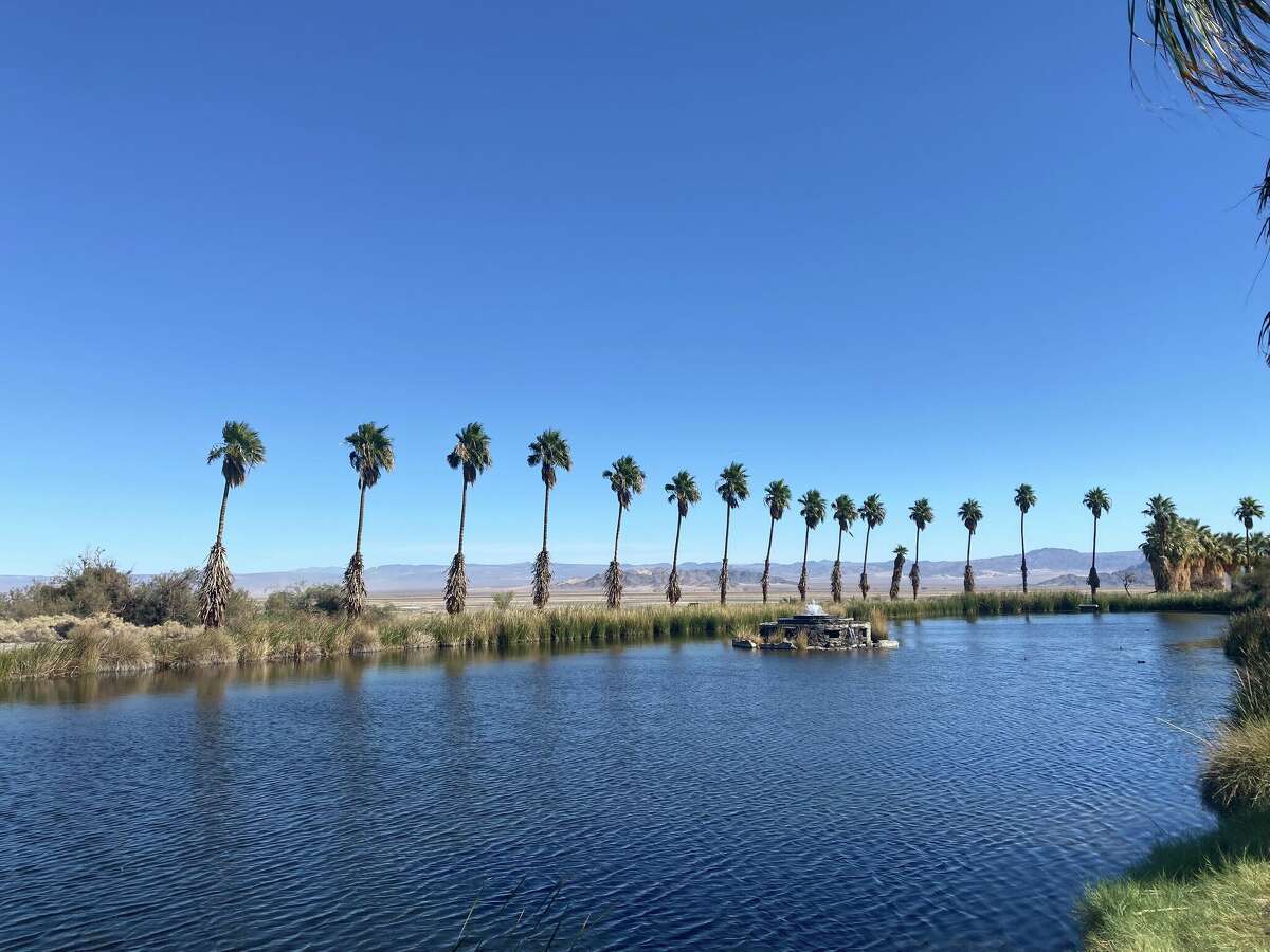 Lake Tuendae in Zzyzx, Calif.