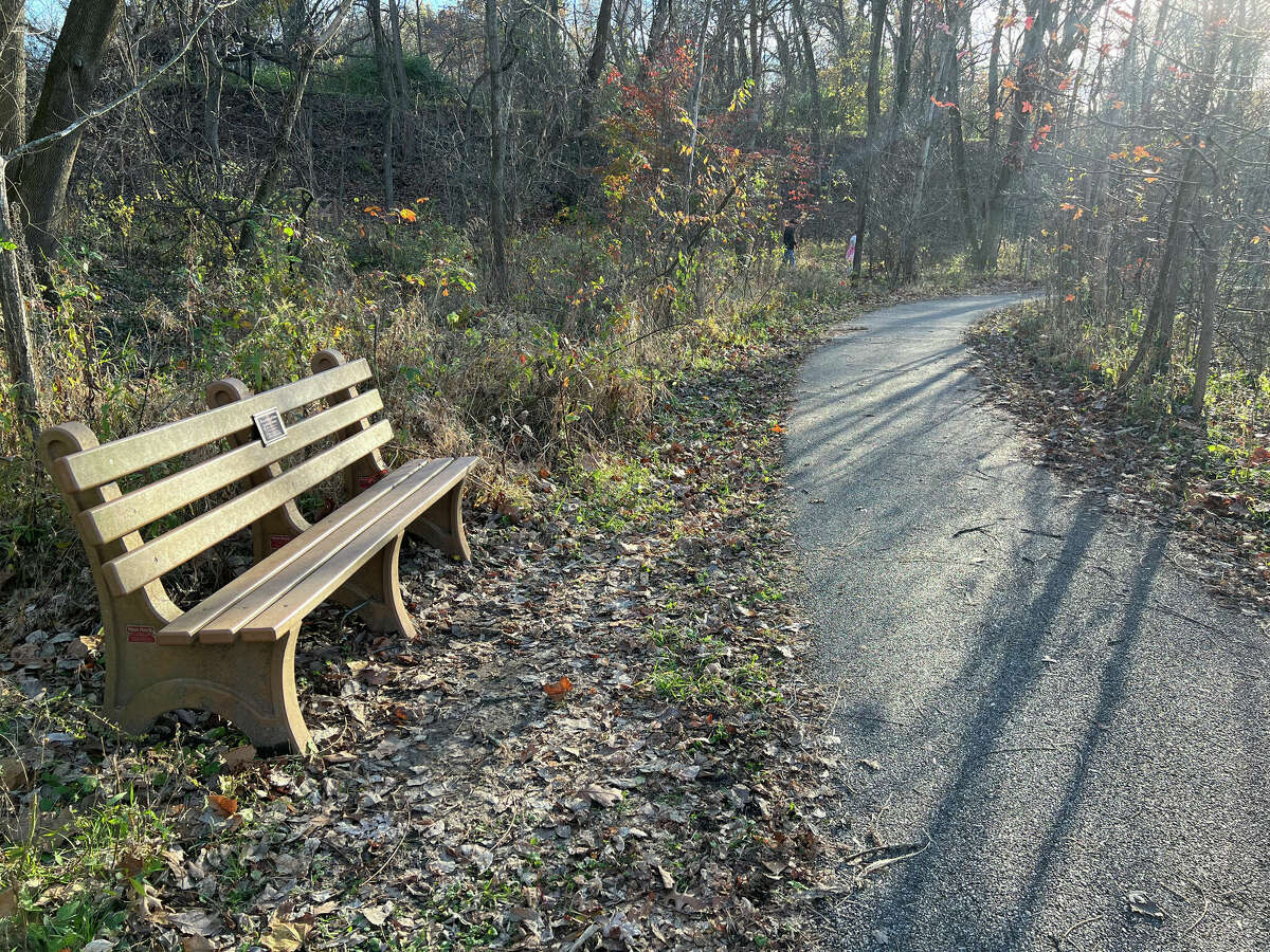 Sushi saga with Shogun absence in Edwardsville