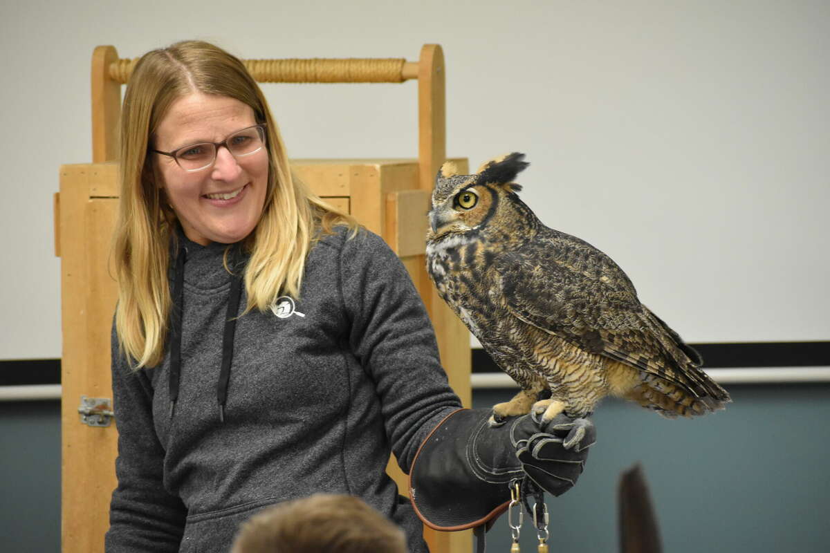 Children were able to get up close with a screech owl, a barn owl and a great horned owl before getting the chance to dissect owl pellets at the Big Rapids Community Library on Friday.