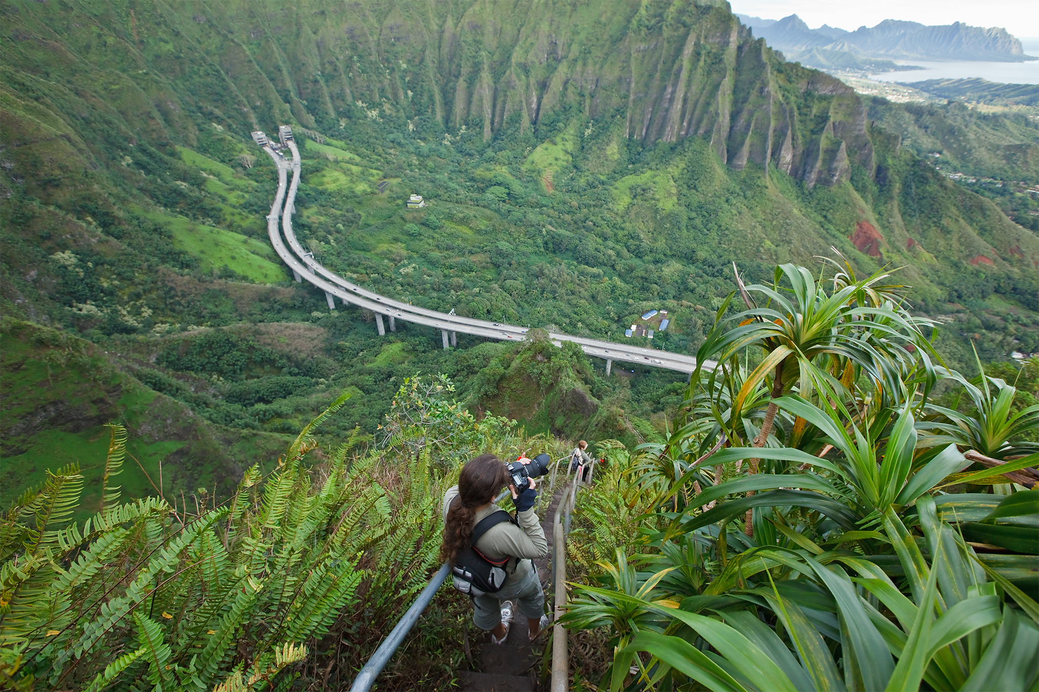 Stairway to Heaven Could Be Removed By 2022 - Honolulu Civil Beat