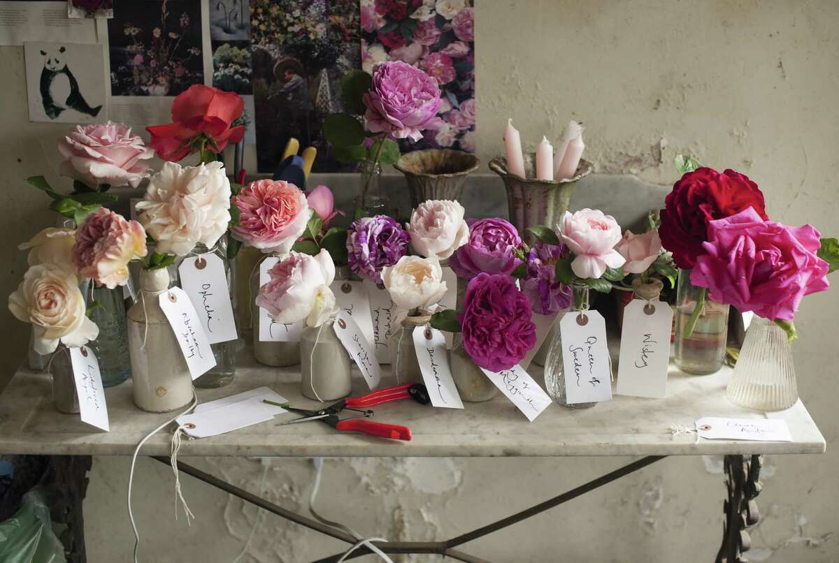 Rose blooms in tiny jugs are individually labeled for teaching a workshop.