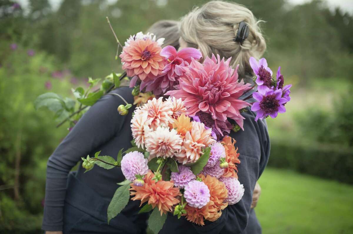 Business is blooming at Hudson flower cutting garden