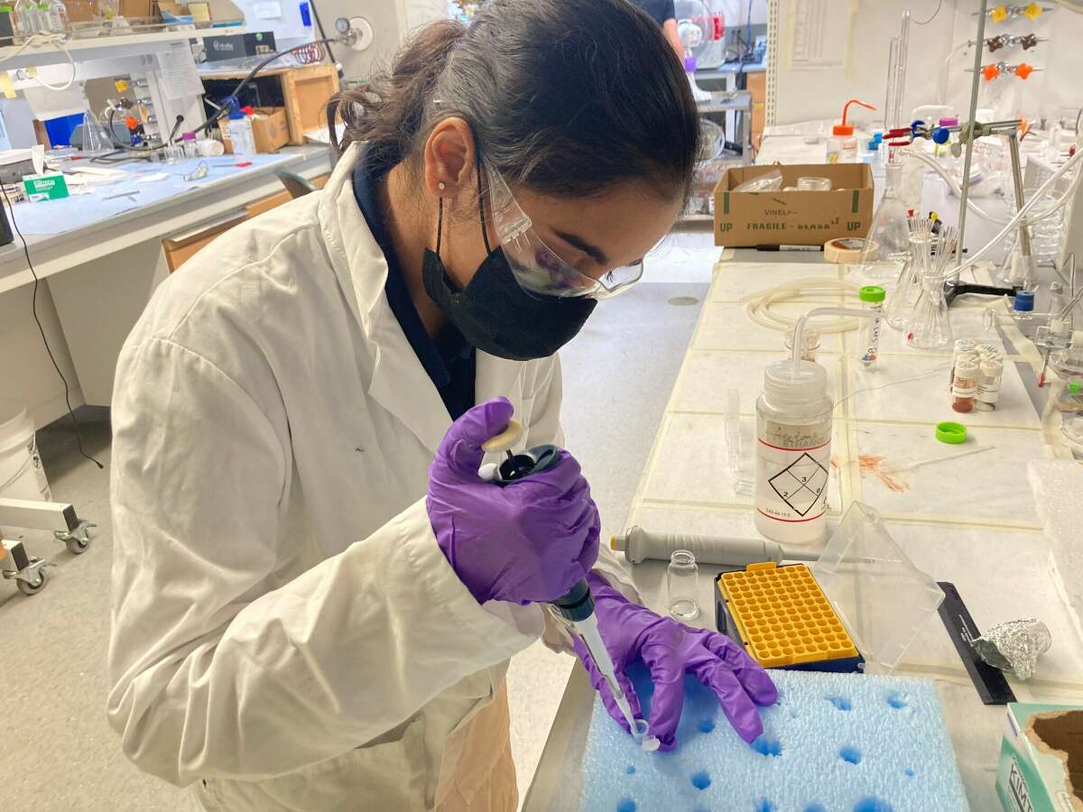 Gouri Krishnan, a Darien resident, was named a Regeneron Science Talent Search(STS) Top Scholar for her research work in King School’s Advanced Science Program forIndependent Research and Engineering 
