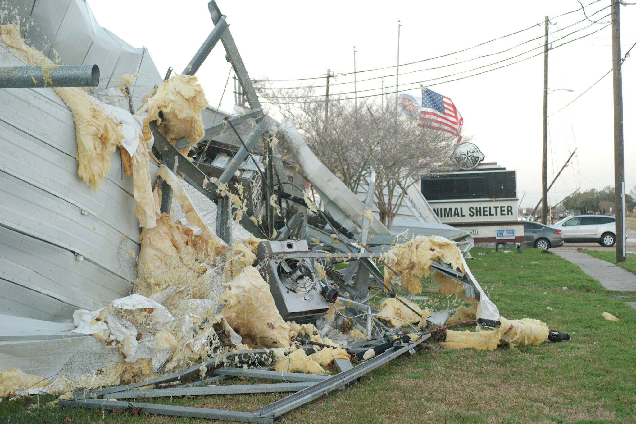 Houston-area pet lovers rush to rescue after tornado ravages Pasadena Animal  Shelter – Houston Public Media