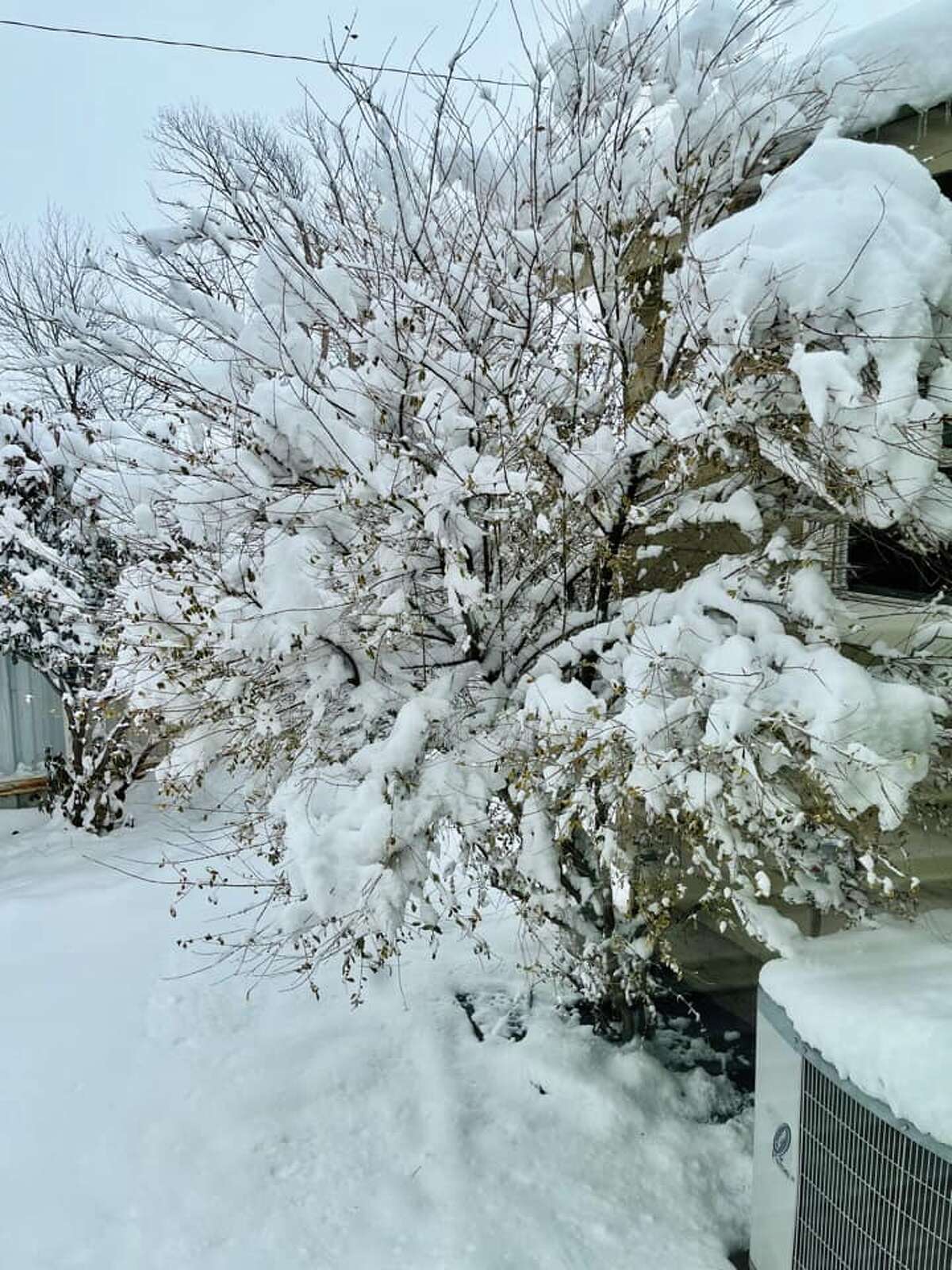 Here are some reader-submitted photos of the snowfall from Jan. 25, 2023.