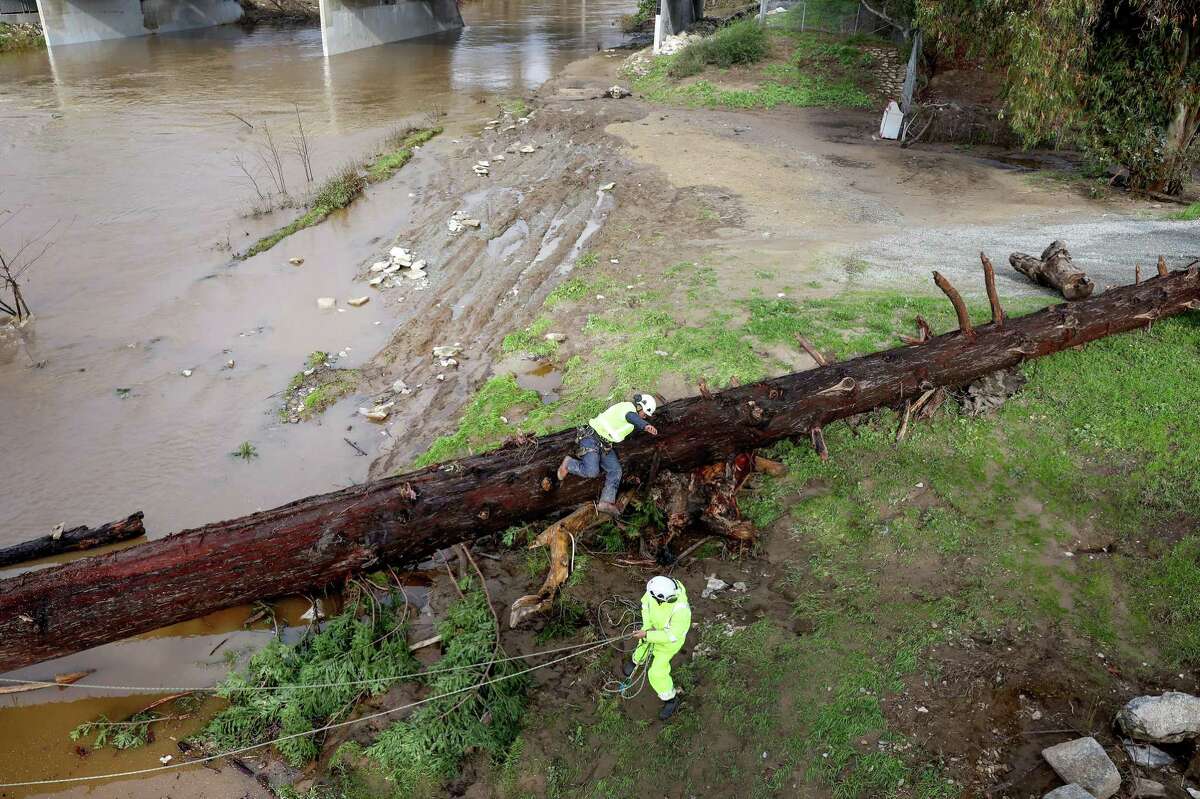 Workers help dismantle a fallen redwood tree during recent flooding in Santa Cruz, Calif. As floods continue to rage during times of drought, California politicians will need to make difficult decisions.