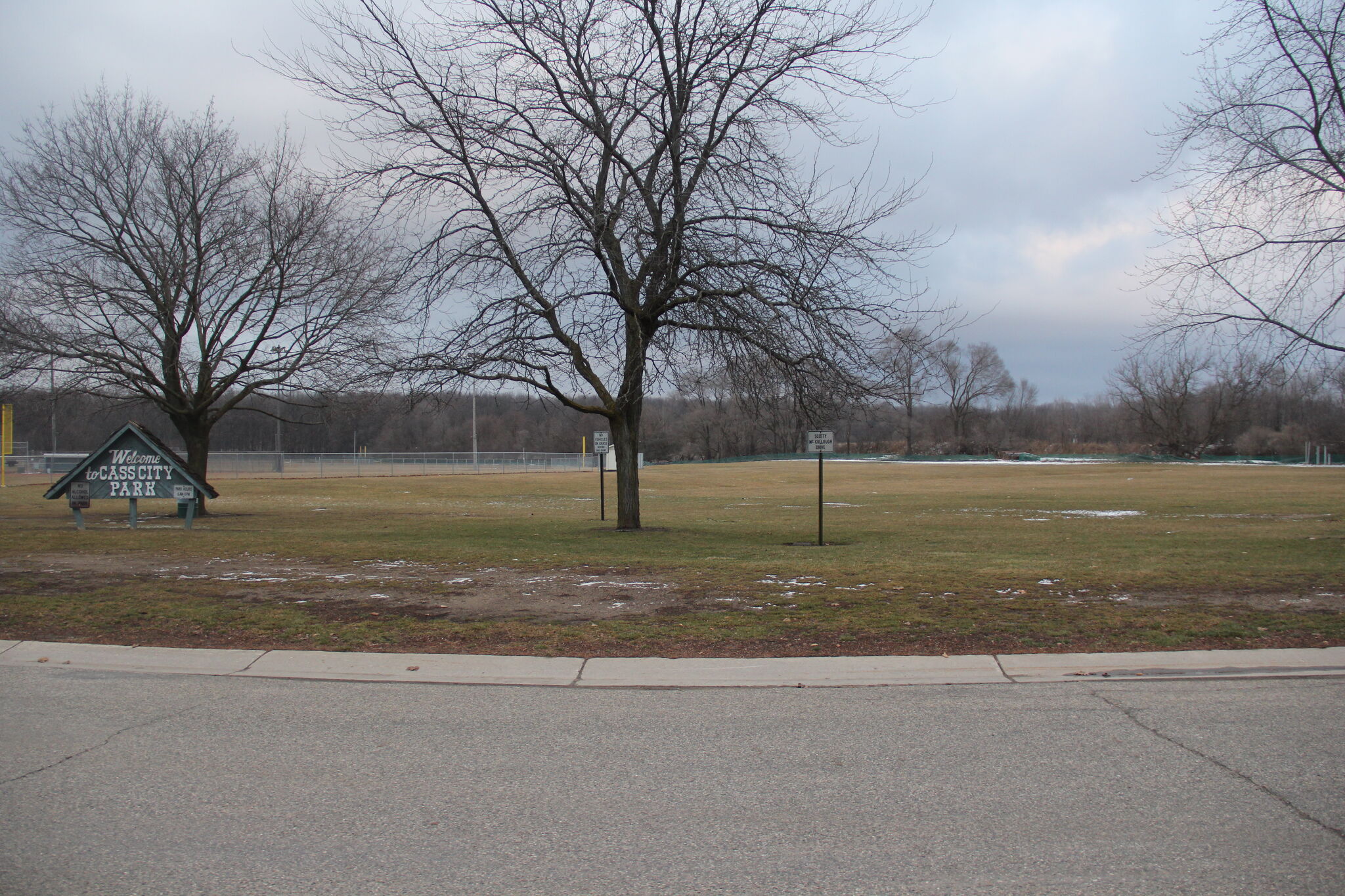 Dog park to potentially be added to Cass City park