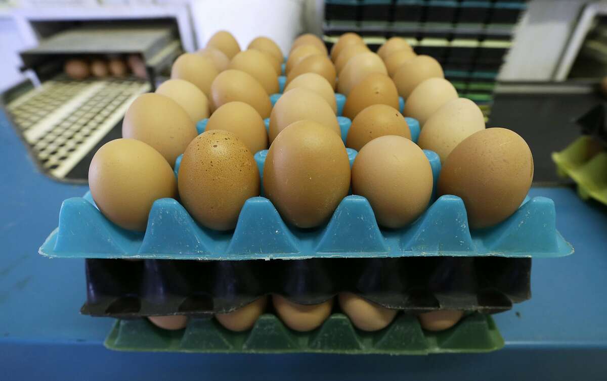 U.S. Customs and Border Protection agents had more than 2,000 encounters with people trying to bring eggs into the United States from Mexico between Nov. 1 and Jan. 17, an agency spokesperson said. In the same 11-week period a year earlier, there were about 460 such encounters.