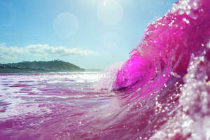 Why the Pacific Ocean turned pink off an area of the Calif. coast