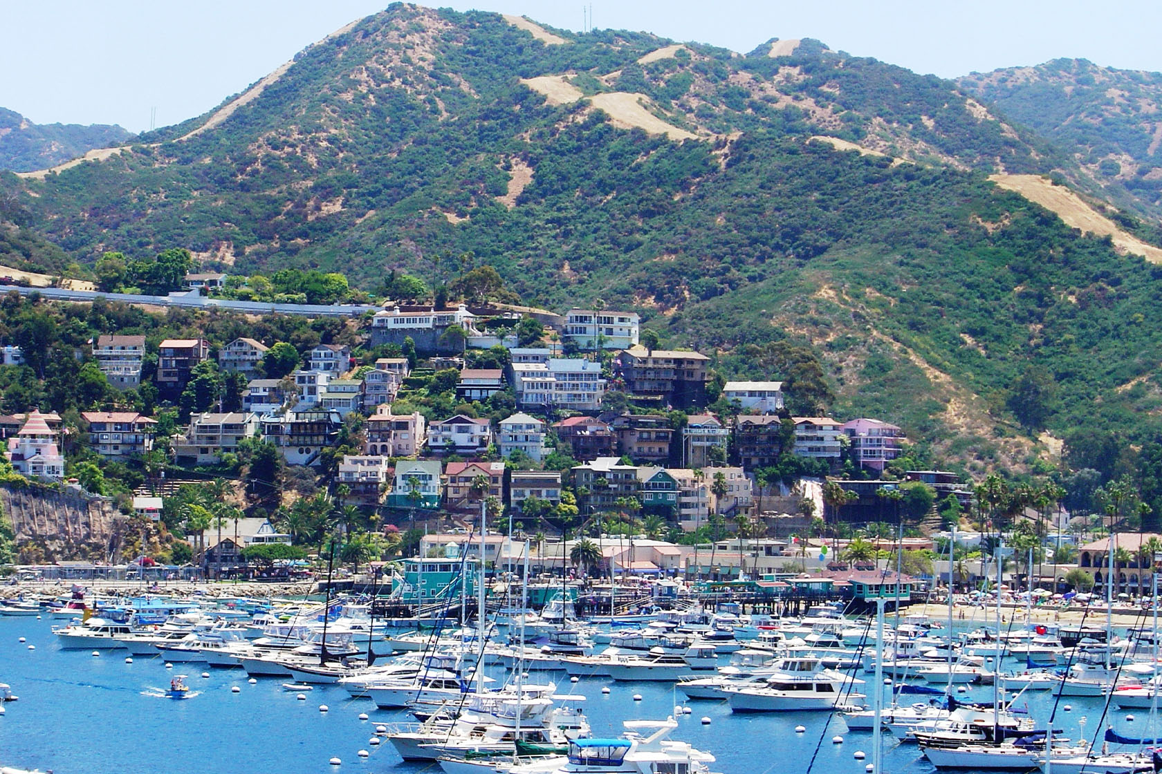 Catalina Island hotels Where to stay on your next trip