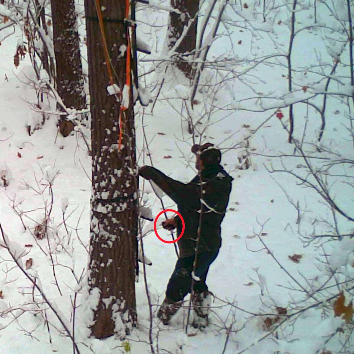 Footage from a trail camera shows Thomas Steele III, 23, cutting the straps on a hunter’s tree stand located on state hunting land. Steele was upset that another hunter was in the area and continued to harass the hunter, according to the Michigan Department of Natural Resources.