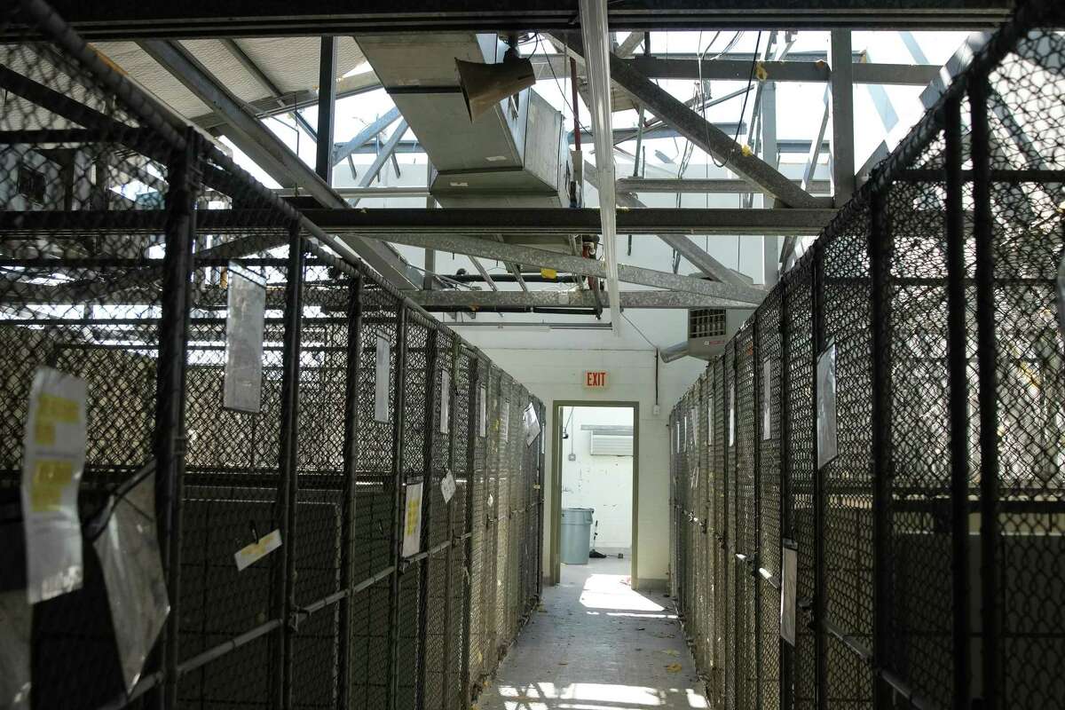 Light shines through holes in the ceiling of the Pasadena Animal Shelter, where over 80 dogs were being housed on Thursday, Jan. 26, 2023 in Pasadena. The EF3 tornado made ground fall on Tuesday, causing wide-spread damage and power outages.