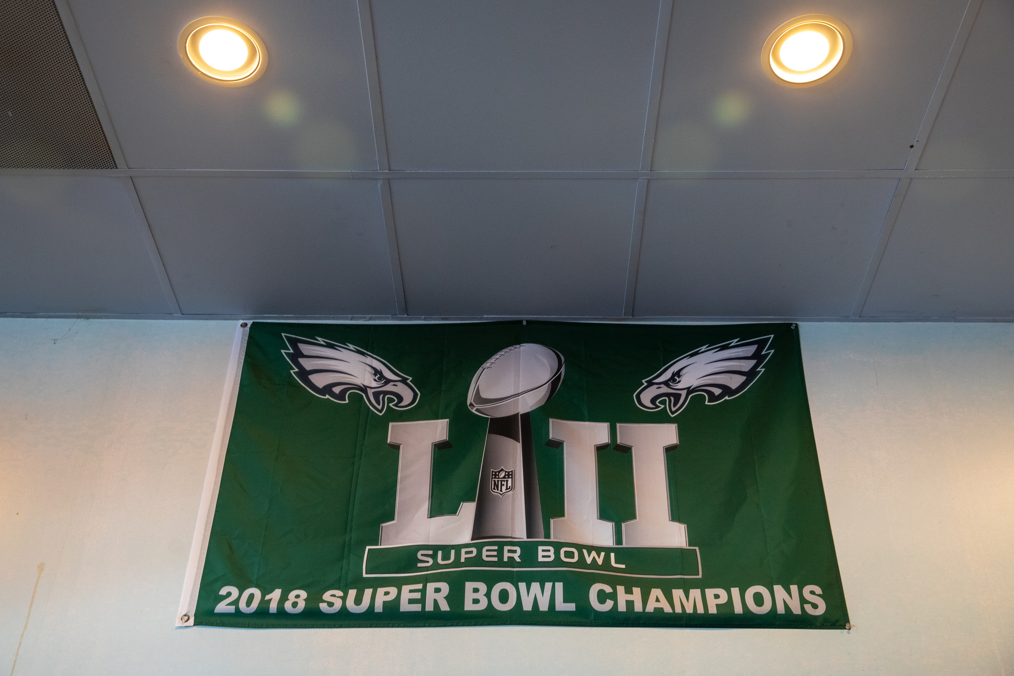 Philadelphia Eagles Super Bowl 52 LII Champions Garden Flag