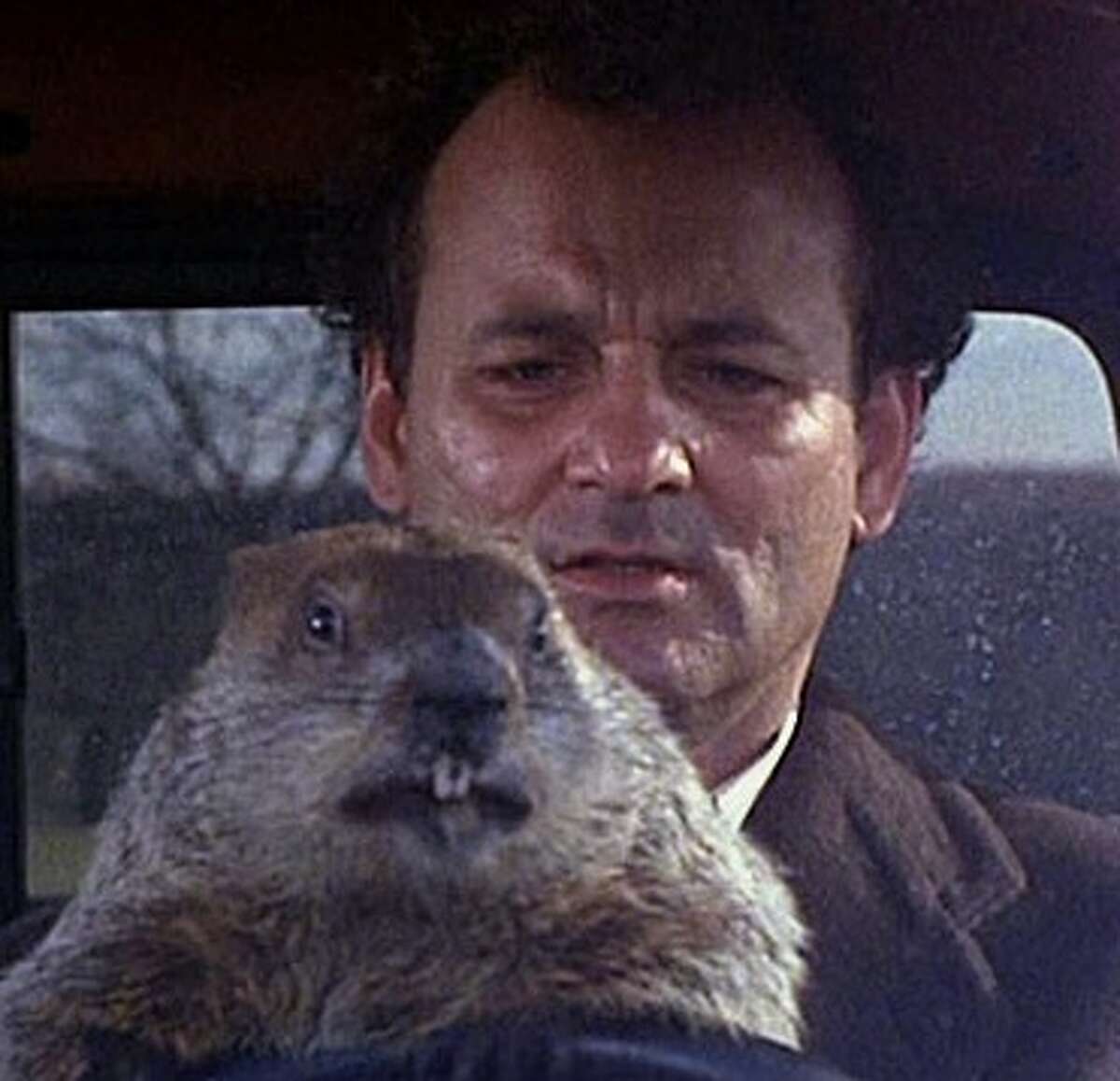 Bill Murray in "Groundhog Day"