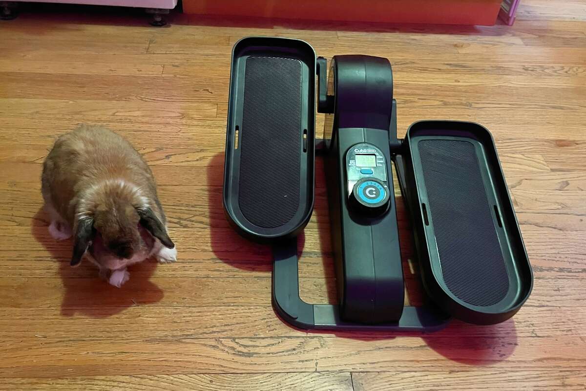 The Cubii Move under-desk elliptical fully assembled (and featuring a curious bunny for size reference).