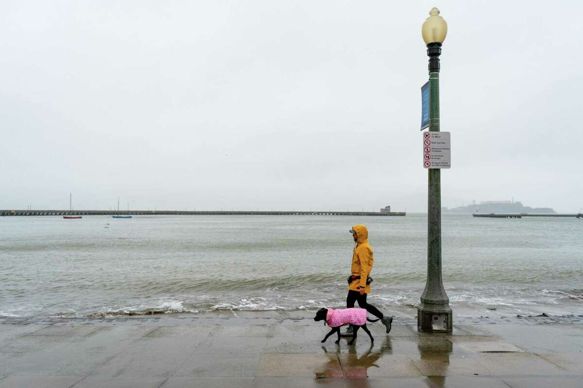 A dog owner and canine companion wear rain jackets on their walk at Aquatic Park Cove in San Francisco on Jan. 14.