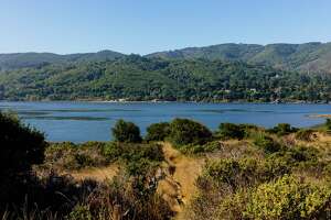 Search suspended for missing kayaker last seen in Tomales Bay