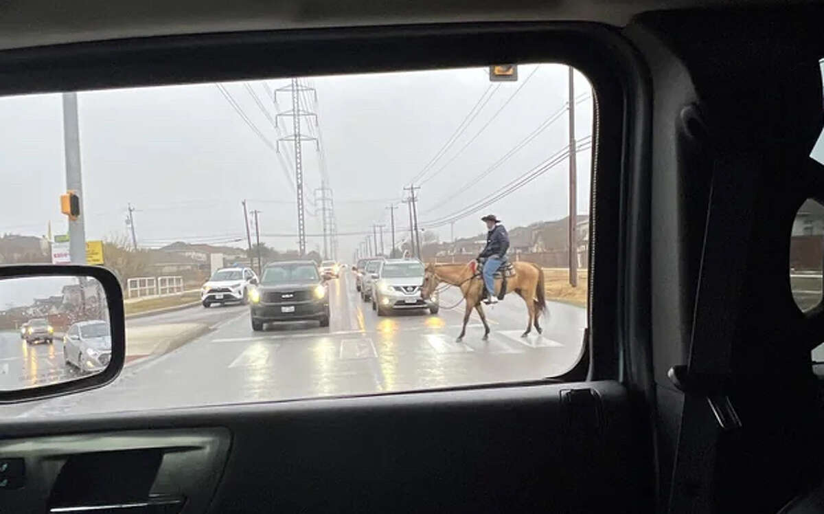 Have you seen this cowboy riding around town?