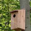 Through two "generous" grants from the Ridgefield Thrift Shop, the Ridgefield Conservation Commission has installed a new bird feeding station in Richardson Park as well as a dozen Screech Owl nest boxes.