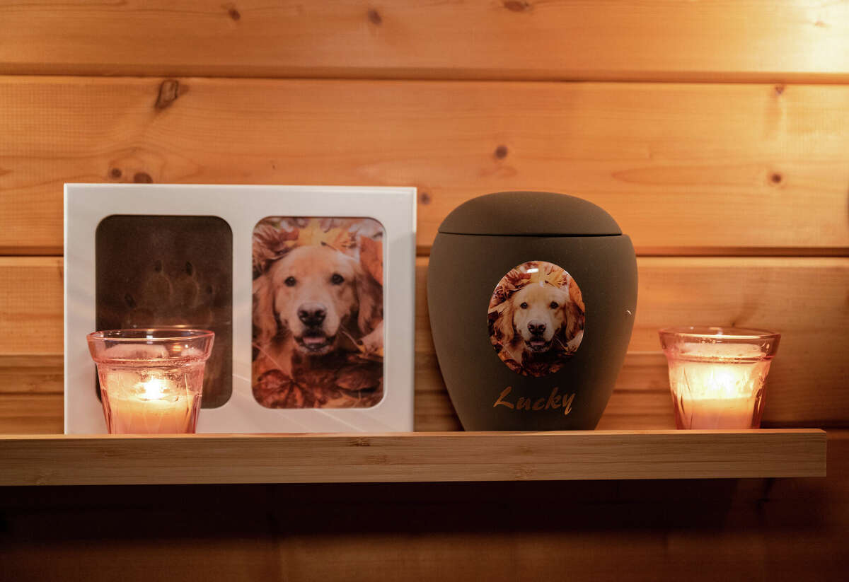 San Antonio area pet owners have options when it comes to what will happen with their pets' cremated ashes upon their death, including having the ashes buried with them.