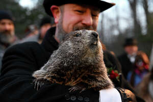 Wildlife Wednesday: Can groundhogs really tell when spring is near?