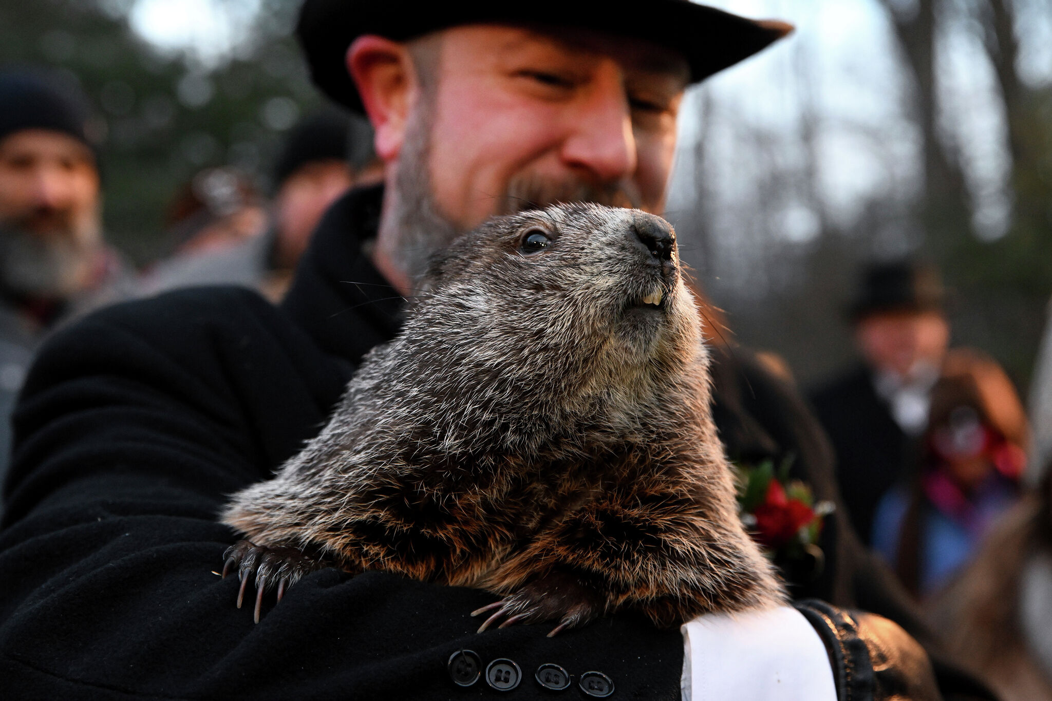 Does Groundhog Day for Bears mean three more weeks of losing